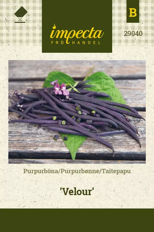 TAITEPAPU VELOUR - Pavun siemenet - 7332756290408 - 1