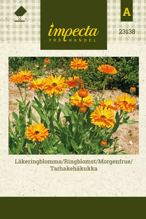 TARHAKEHÄKUKKA - Kehäkukan siemenet - 7332756231388 - 1