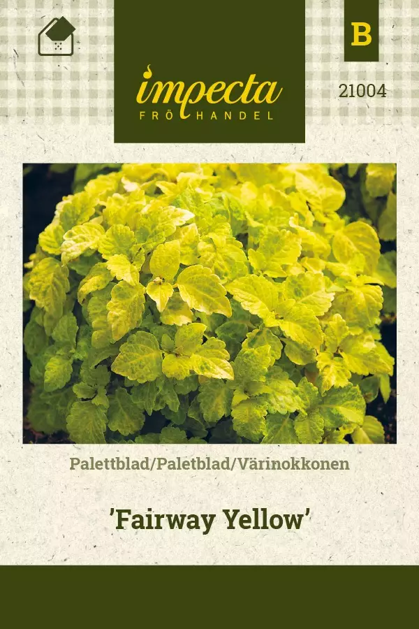 VÄRINOKKONEN FAIRWAY YELLOW - Muut kesäkukkien siemenet - 7332756210048 - 1