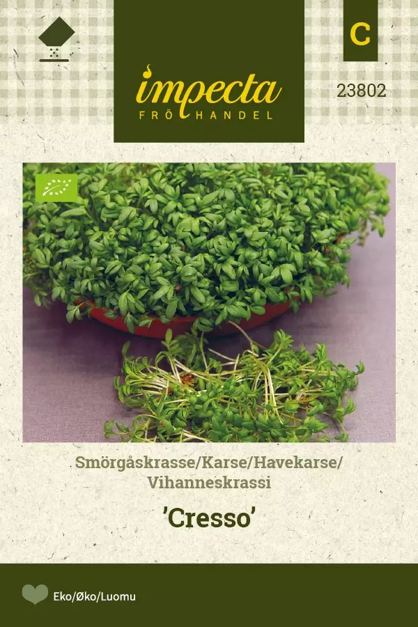 VIHANNESKRASSI CRESSO - Muut yrttien siemenet - 7332756238028 - 1