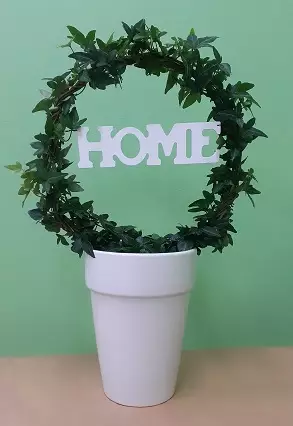 MURATTIKAARI HOME KERAMIIKKARUUKUSSA - Muut viherkasvit - 8712044412399 - 1