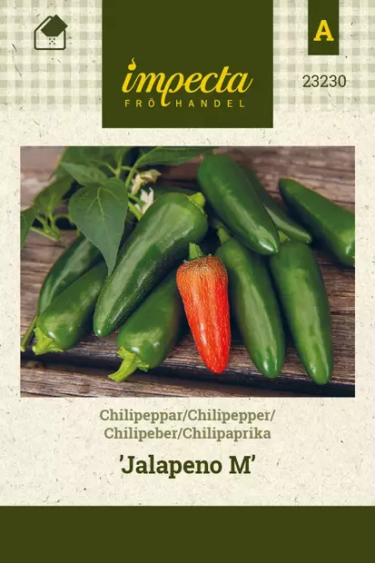 CHILIPAPRIKA JALAPENO M - Paprikan ja chilin siemenet - 7332756232309 - 1