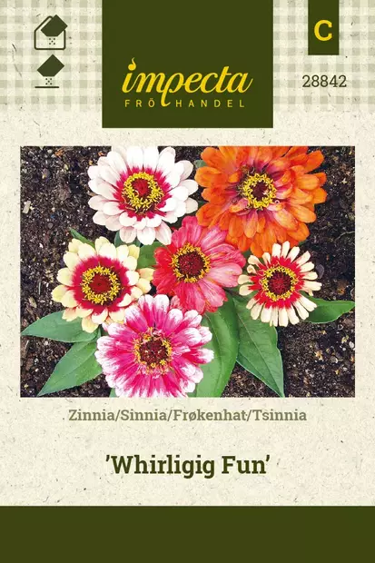 ISOTSINNIA WHIRLIGIG FUN - Tsinnian siemenet - 7332756288429 - 1