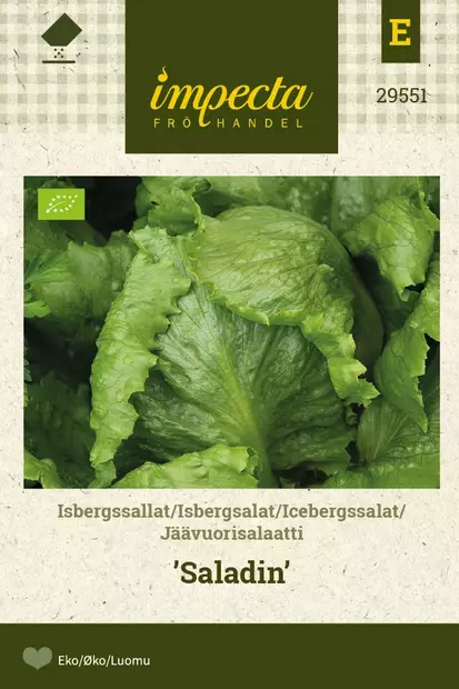 JÄÄVUORISALAATTI SALADIN - Salaatin siemenet - 7332756295519 - 1