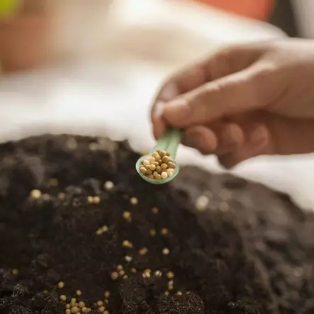 KESTORAVINNE 200 G - Lannoitteet - 6433000610049 - 2