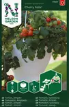AMPPELITOMAATTI CHERRY FALLS - Tomaatin siemenet - 7312600916579 - 1