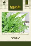 ISOHIETASINAPPI WILDFIRE - Salaatin siemenet - 7332756295489 - 1