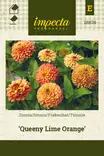 ISOTSINNIA QUEENY LIME ORANGE - Tsinnian siemenet - 7332756288399 - 1