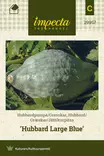 JÄTTIKURPITSA HUBBARD LARGE BLUE - Kurpitsan siemenet - 7332756299579 - 1