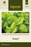 KERÄSALAATTI HUMIL - Salaatin siemenet - 7332756295779 - 1