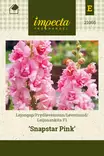 LEIJONANKITA SNAPSTAR PINK - Muut kesäkukkien siemenet - 7332756210659 - 1