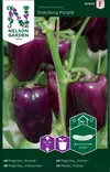 PAPRIKA SNACKING PURPLE - Paprikan ja chilin siemenet - 7312600908659 - 2