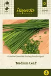 RUOHOSIPULI MEDIUM LEAF - Muut vihannesten siemenet - 7332756230459 - 1