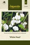 RUUSUNÄTKELMÄ WHITE PEARL - Perennojen siemenet - 7332756263419 - 1