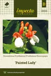RUUSUPAPU PAINTED LADY - Muut kesäkukkien siemenet - 7332756286609 - 1