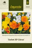 SARVIORVOKKI SORBET XP CITRUS - Muut kesäkukkien siemenet - 7332756286289 - 1