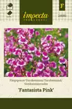 SIROKANNUSRUOHO FANTASISTA PINK - Muut kesäkukkien siemenet - 7332756249819 - 1