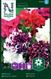 TARHAPETUNIA GLORIOUS F1, SEOS - Muut kesäkukkien siemenet - 7312600945449 - 1