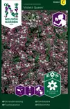 TUOKSUPIELUS VIOLET QUEEN - Muut kesäkukkien siemenet - 7312600954649 - 1