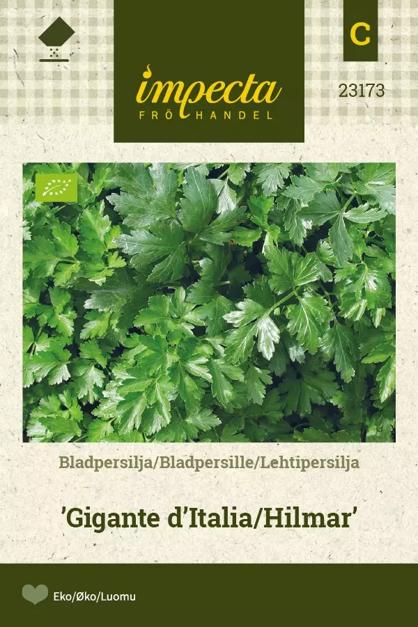LEHTIPERSILJA GIGANTE D'ITALIA - Persiljan ja tillin siemenet - 7332756231739 - 1