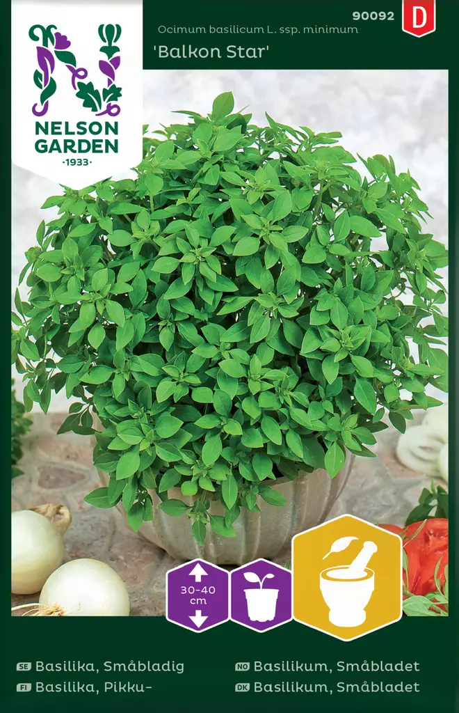BASILIKA BALKON STAR - Basilikan siemenet - 7312600900929 - 2