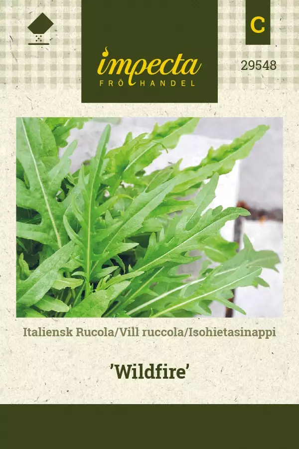 ISOHIETASINAPPI WILDFIRE - Salaatin siemenet - 7332756295489 - 1
