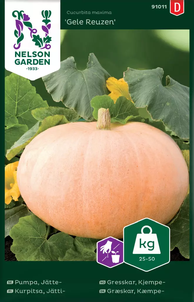 JÄTTIKURPITSA GELE REUZEN - Kurpitsan siemenet - 7312600910119 - 2