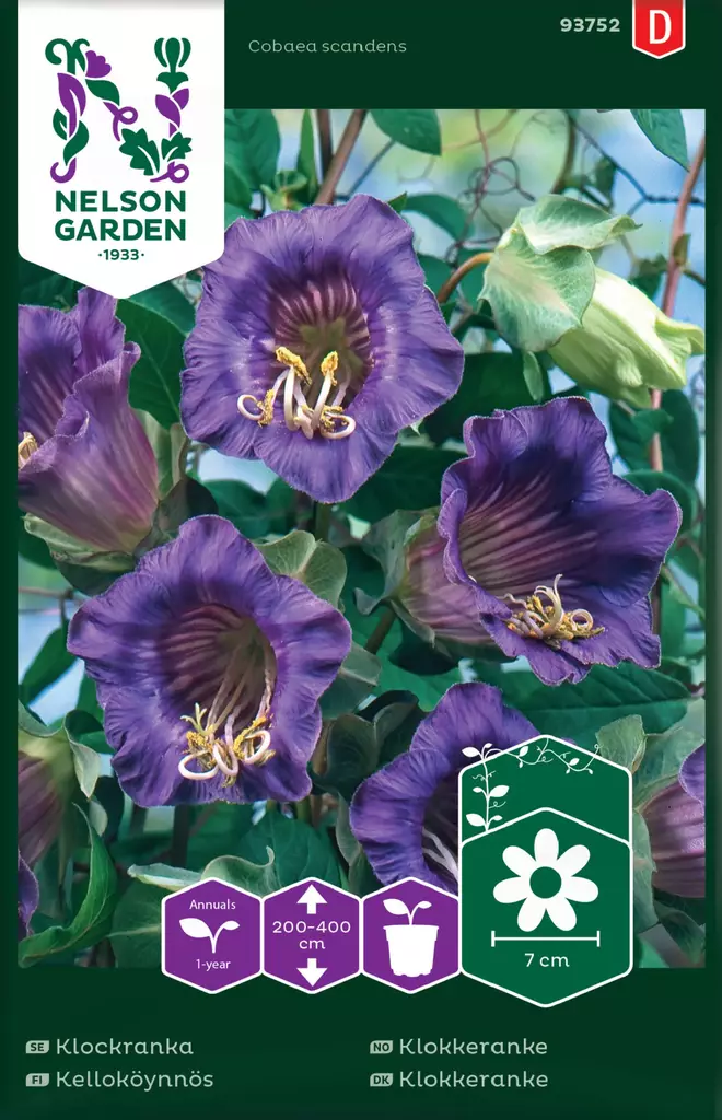 KELLOKÖYNNÖS - Muut kesäkukkien siemenet - 7312600937529 - 2