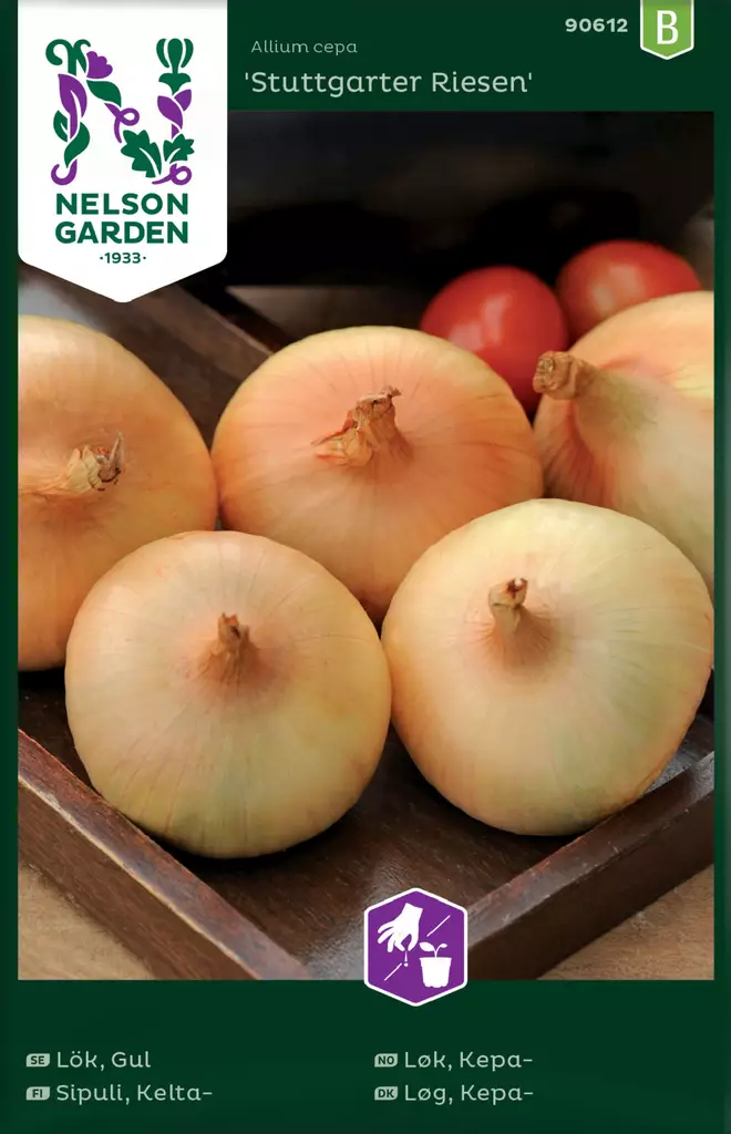 KELTASIPULI STUTTGARTER RIESEN - Muut vihannesten siemenet - 7312600906129 - 2