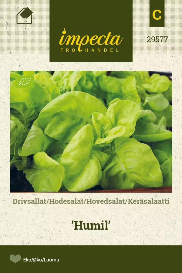 KERÄSALAATTI HUMIL - Salaatin siemenet - 7332756295779 - 1