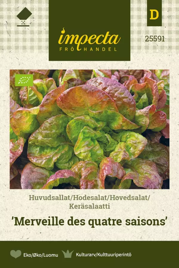 KERÄSALAATTI MEIRV. DES QUATRE SAISONS - Salaatin siemenet - 7332756255919 - 1