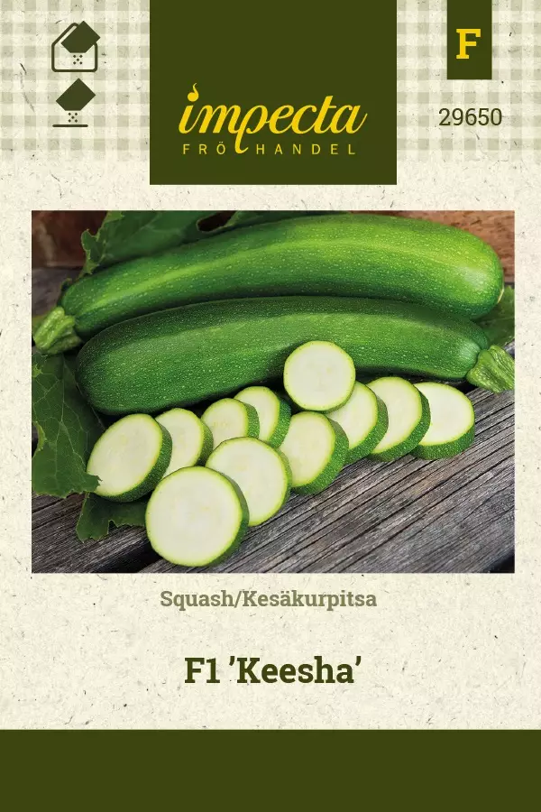 KESÄKURPITSA KEESHA - Kurpitsan siemenet - 7332756296509 - 1