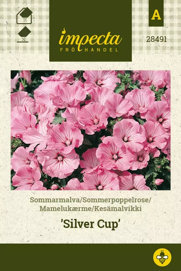 KESÄMALVIKKI SILVER CUP - Muut kesäkukkien siemenet - 7332756284919 - 1