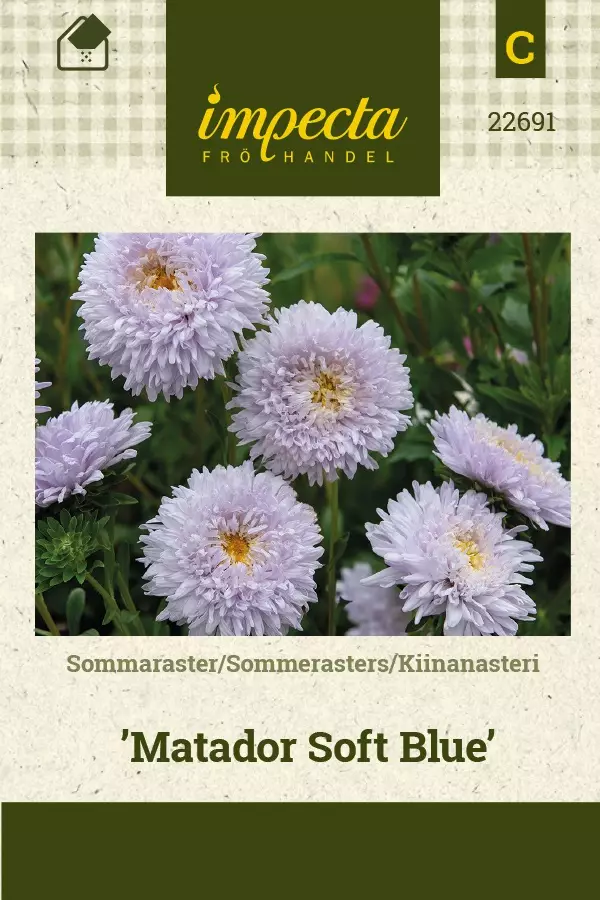 KIINANASTERI MATADOR SOFT BLUE - Asterin siemenet - 7332756226919 - 1
