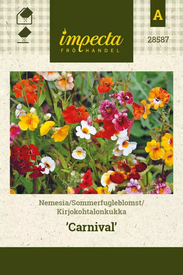 KIRJOKOHTALONKUKKA CARNIVAL - Muut kesäkukkien siemenet - 7332756285879 - 1