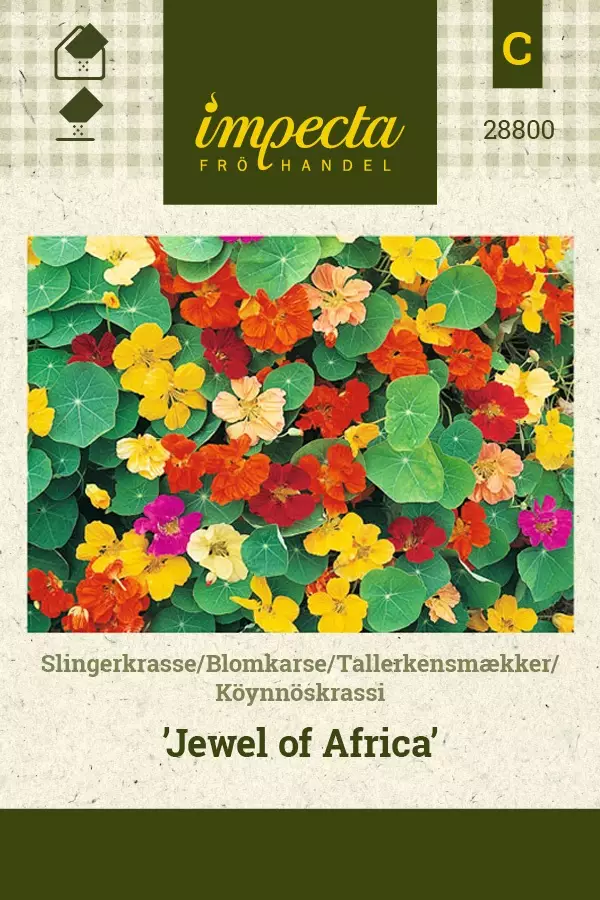 KÖYNNÖSKRASSI JEWEL OF AFRICA - Krassin siemenet - 7332756288009 - 1