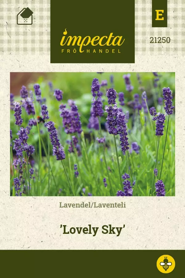 LAVENTELI LOVELY SKY - Muut kesäkukkien siemenet - 7332756212509 - 1