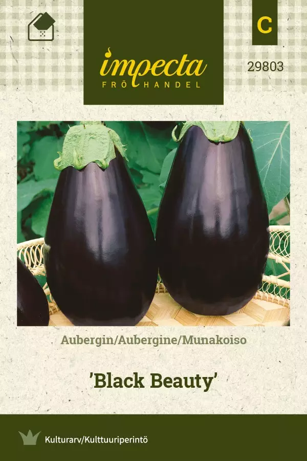 MUNAKOISO BLACK BEAUTY - Muut vihannesten siemenet - 7332756298039 - 1