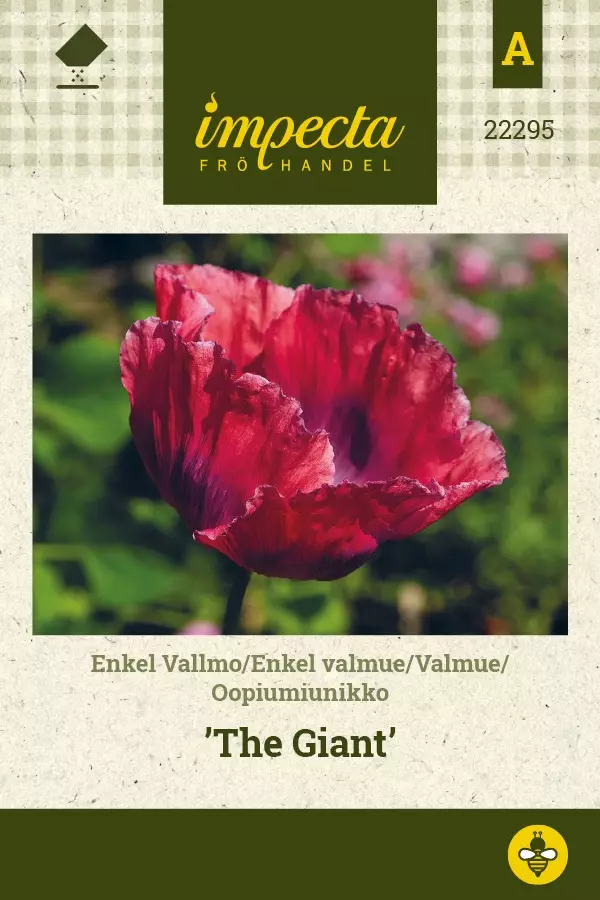 OOPIUMIUNIKKO THE GIANT - Muut kesäkukkien siemenet - 7332756222959 - 1