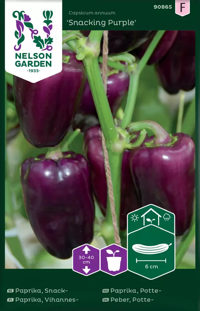 PAPRIKA SNACKING PURPLE - Paprikan ja chilin siemenet - 7312600908659 - 2