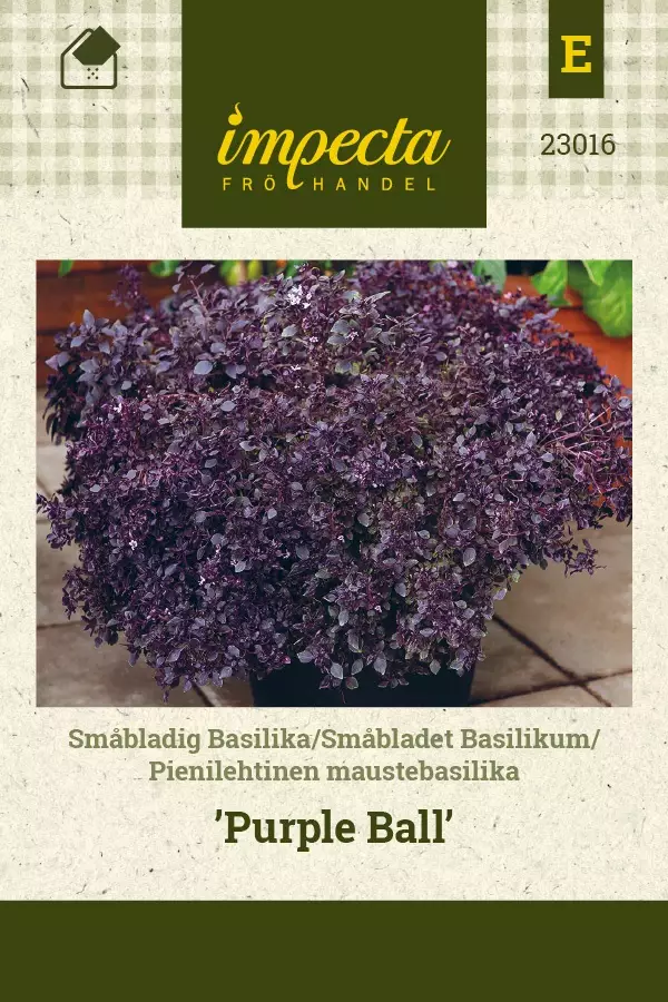PIENILEHTINEN MAUSTEBASILIKA PURPLE BALL - Basilikan siemenet - 7332756230169 - 1