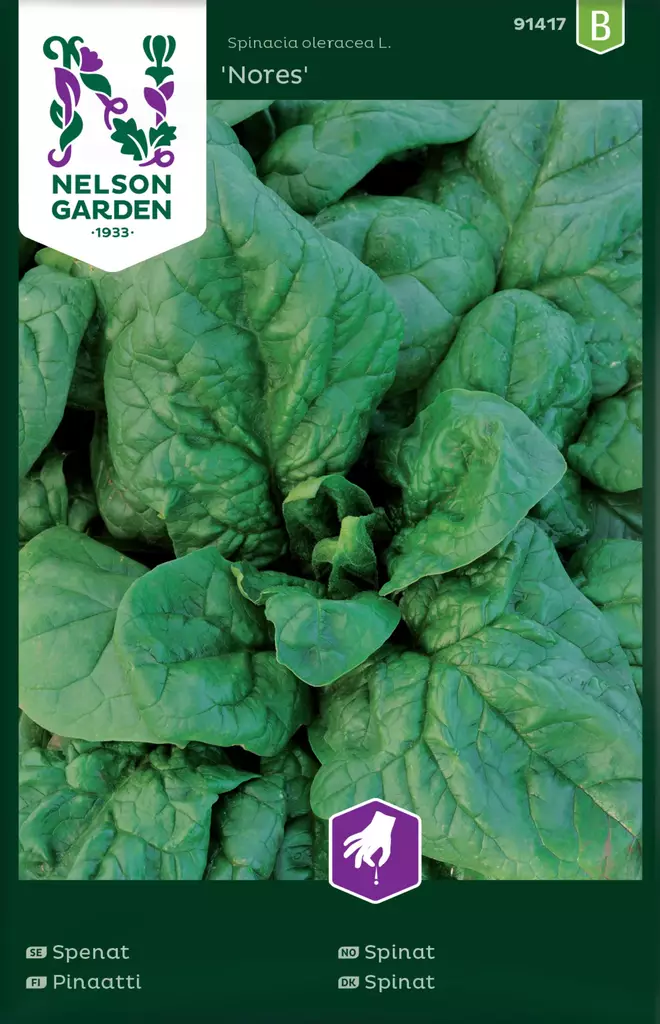 PINAATTI NORES - Muut vihannesten siemenet - 7312600914179 - 2