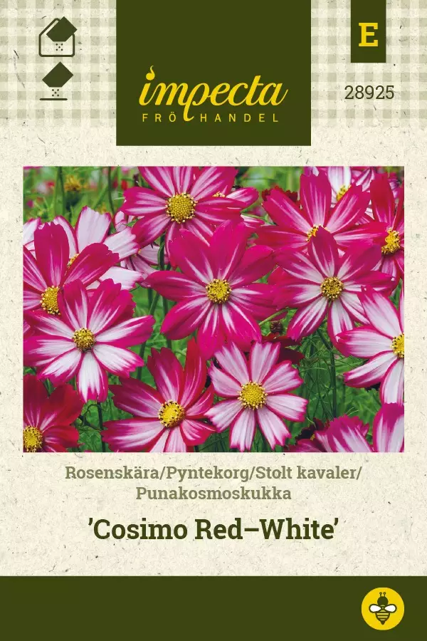 PUNAKOSMOSKUKKA COSIMO RED-WHITE - Muut kesäkukkien siemenet - 7332756289259 - 1