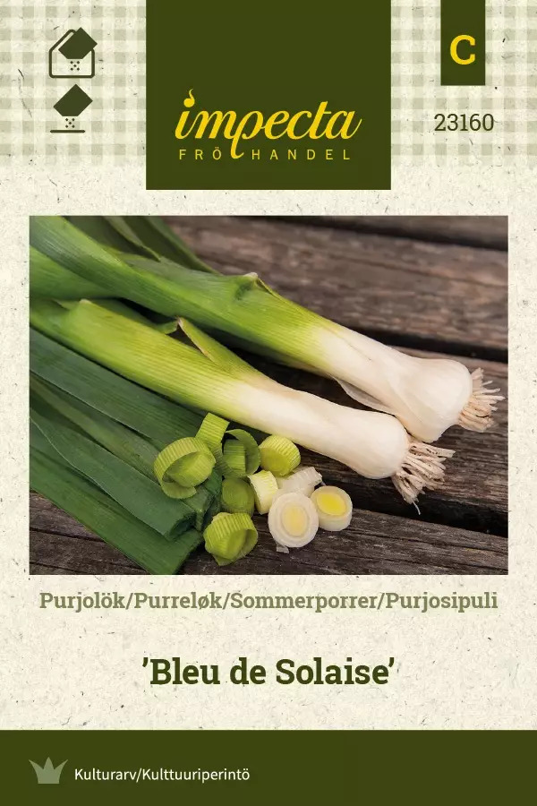 PURJOSIPULI BLEU DE SOLAISE - Muut vihannesten siemenet - 7332756231609 - 1