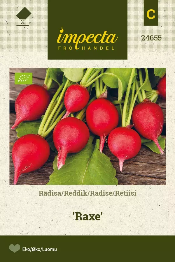 RETIISI RAXE - Muut vihannesten siemenet - 7332756246559 - 1