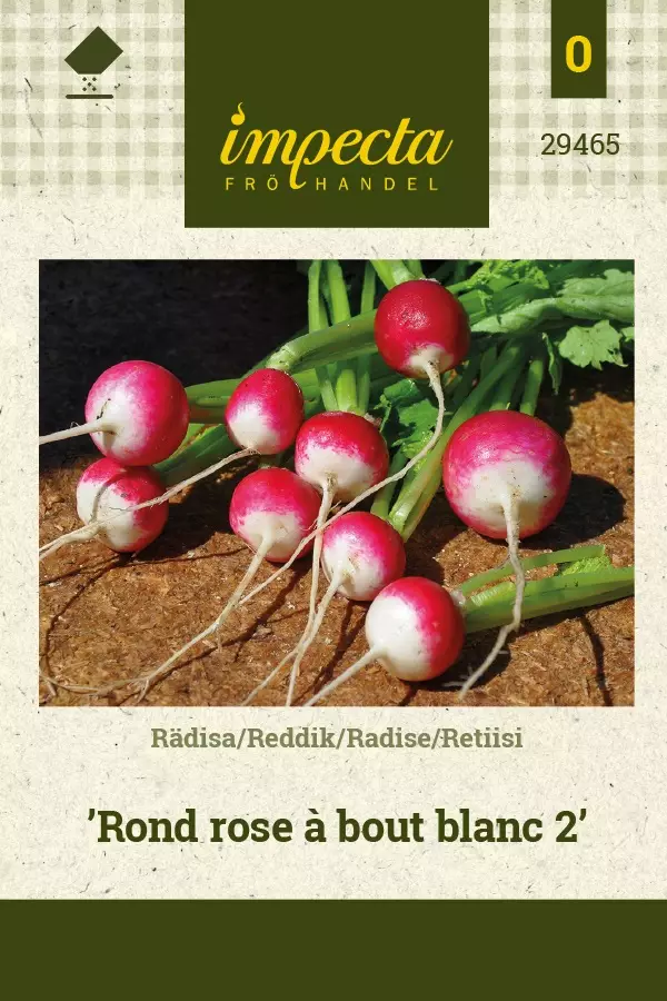 RETIISI ROND ROSE Á BOUT BLANC 2 - Muut vihannesten siemenet - 7332756294659 - 1