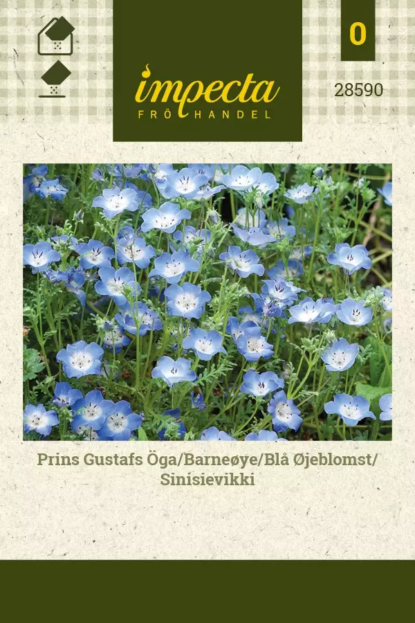SINISIEVIKKI - Muut kesäkukkien siemenet - 7332756285909 - 1