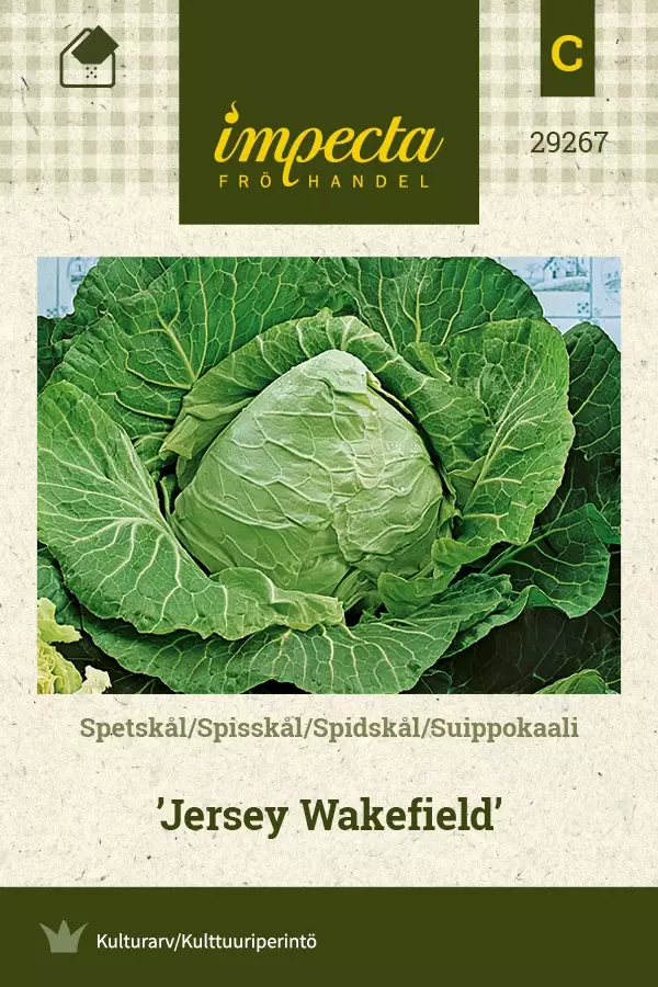 SUIPPOKAALI JERSEY WAKEFIELD - Kaalin siemenet - 7332756292679 - 1