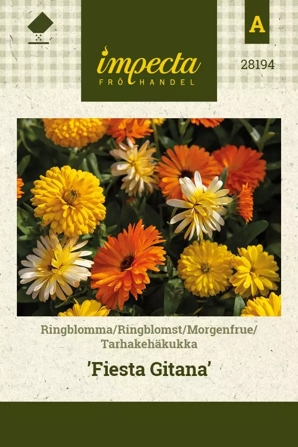 TARHAKEHÄKUKKA FIESTA GITANA - Kehäkukan siemenet - 7332756281949 - 1