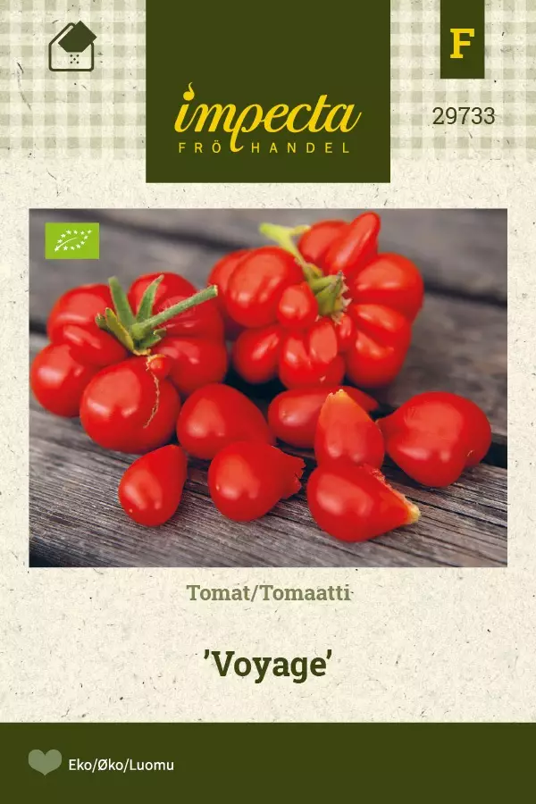 TOMAATTI VOYAGE - Tomaatin siemenet - 7332756297339 - 1